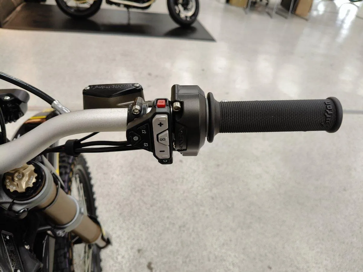 239933 (15)